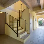 Limone فيلة تريكواندا