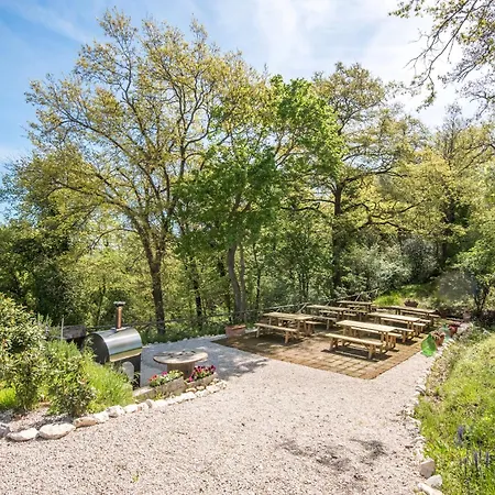 فيلة Limone تريكواندا